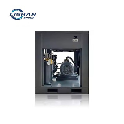 바이폴라 영구 자석 가변 주파수 공기 압축기 75a